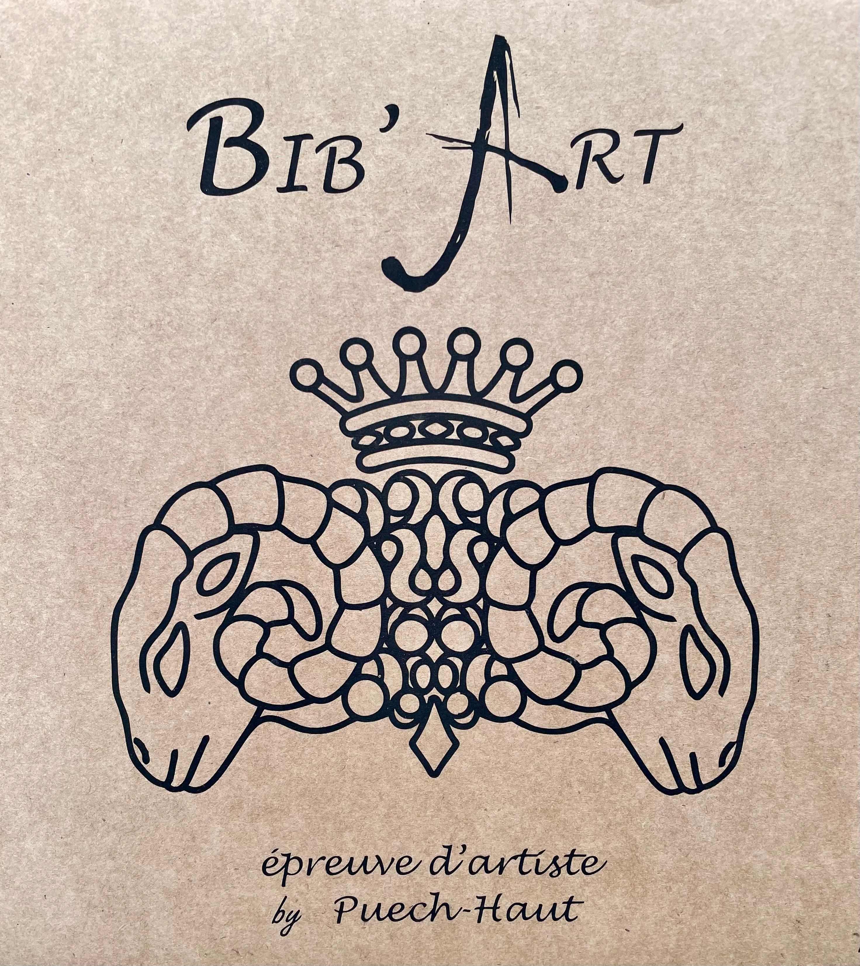 Illustration du projet