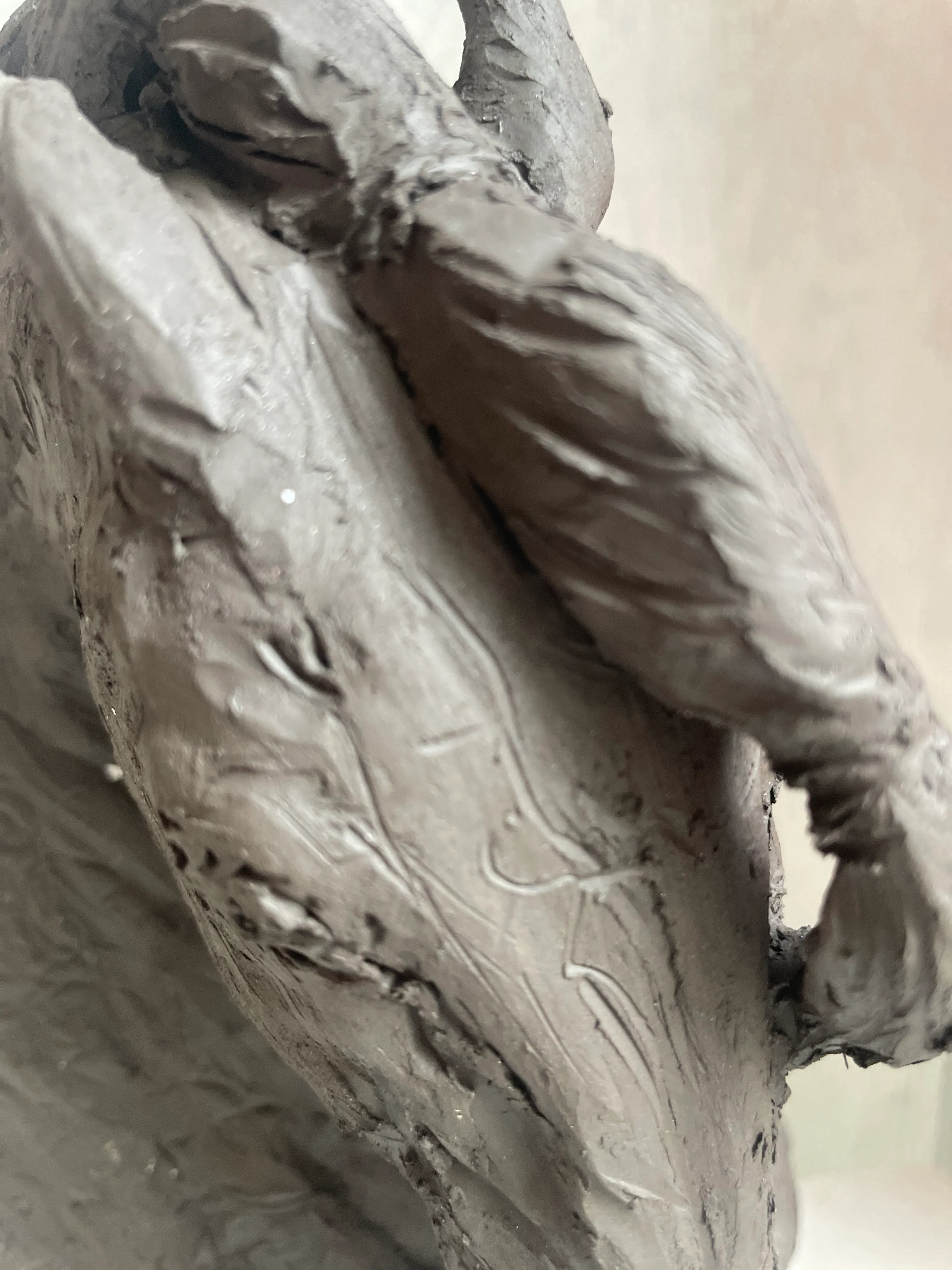 Illustration du projet