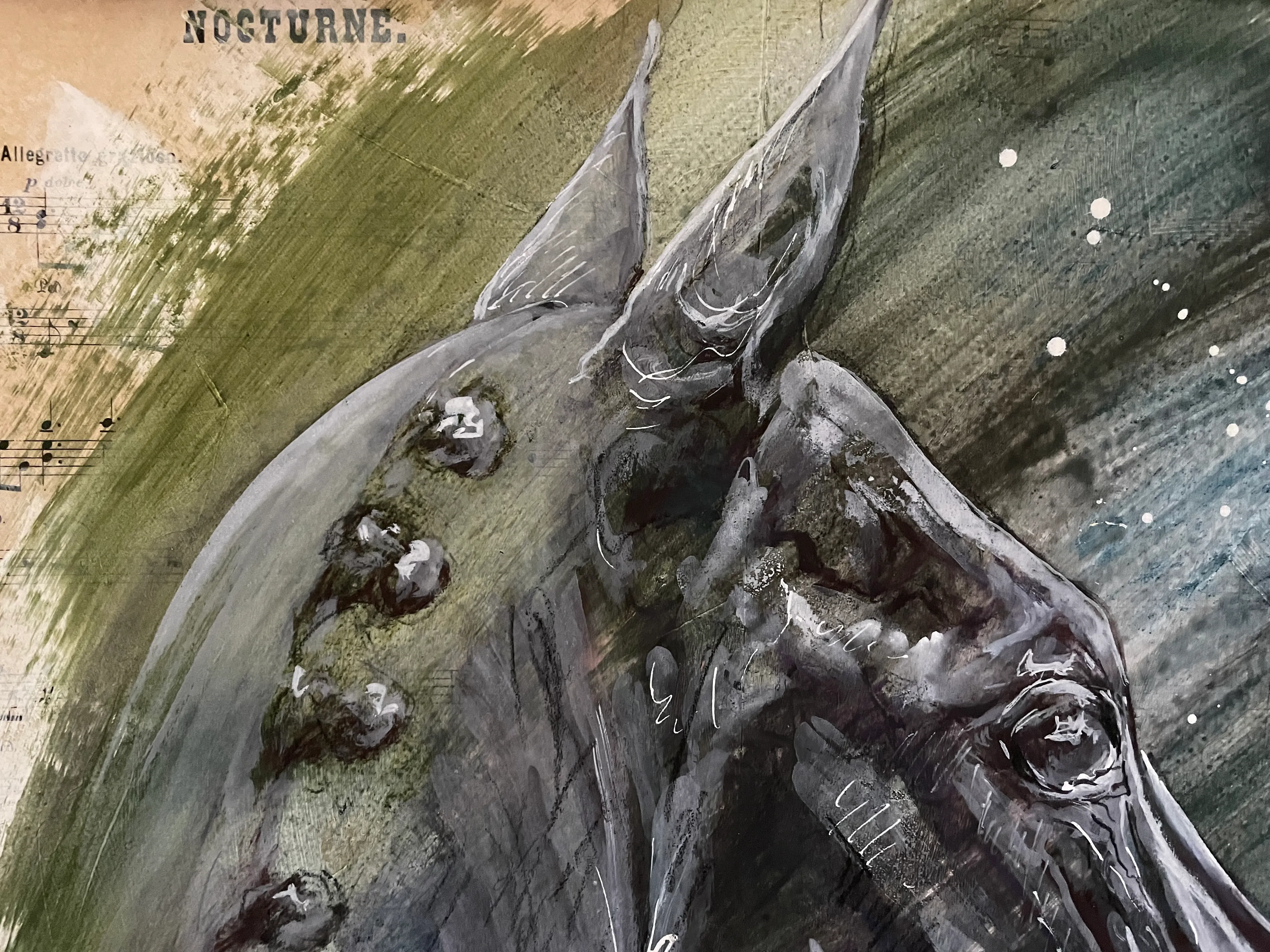 Illustration du projet