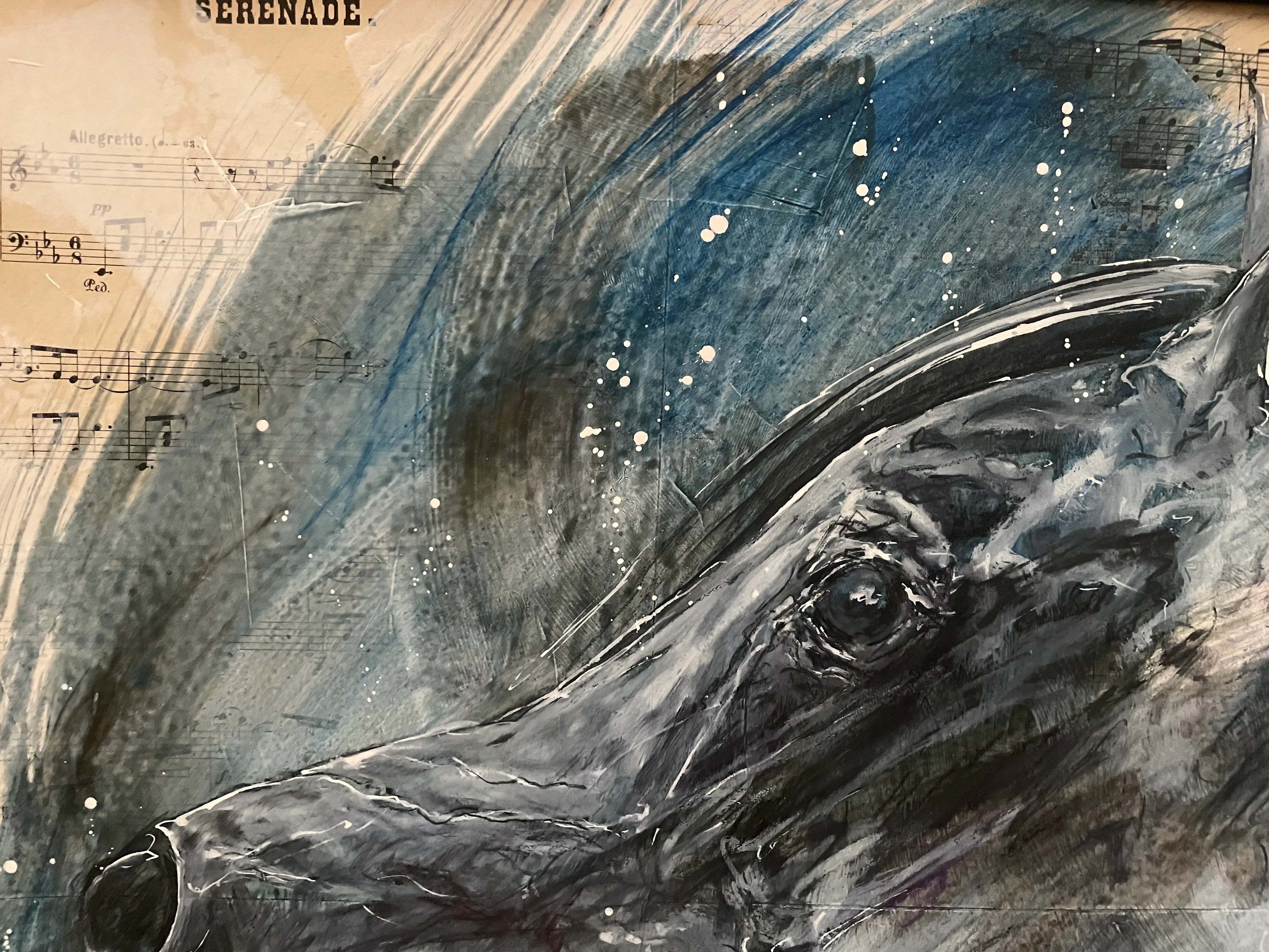 Illustration du projet