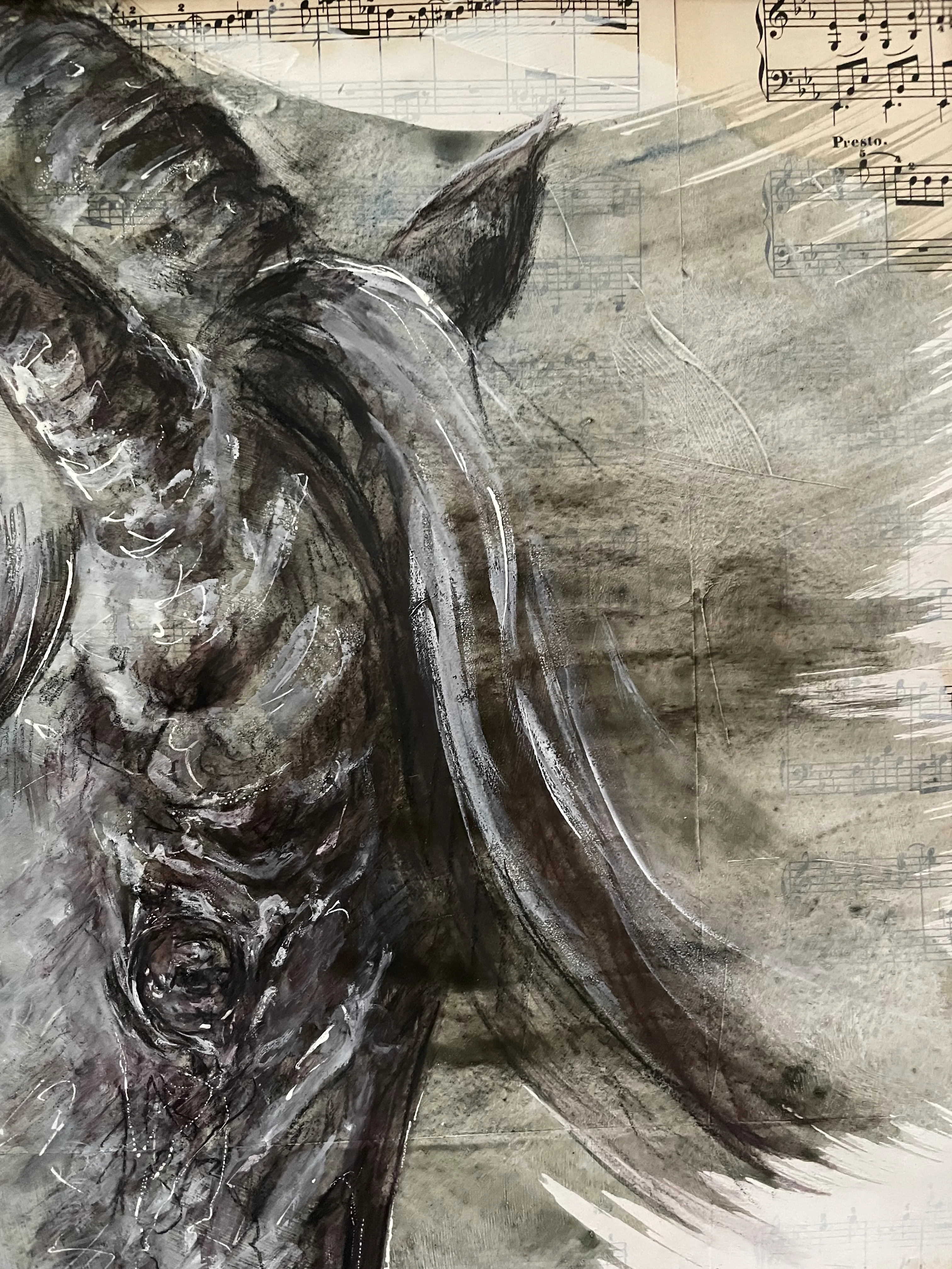 Illustration du projet
